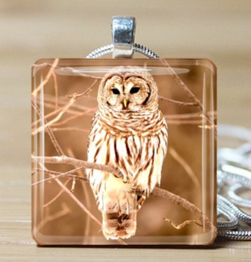 Owl Glass tile pendant - Includes 925 plated over bronze ball chain - owl pendant - owl necklace - Buy any 3 and Get 1 more - women jewelry