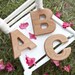 Personalized Alphabet Soup Rattles