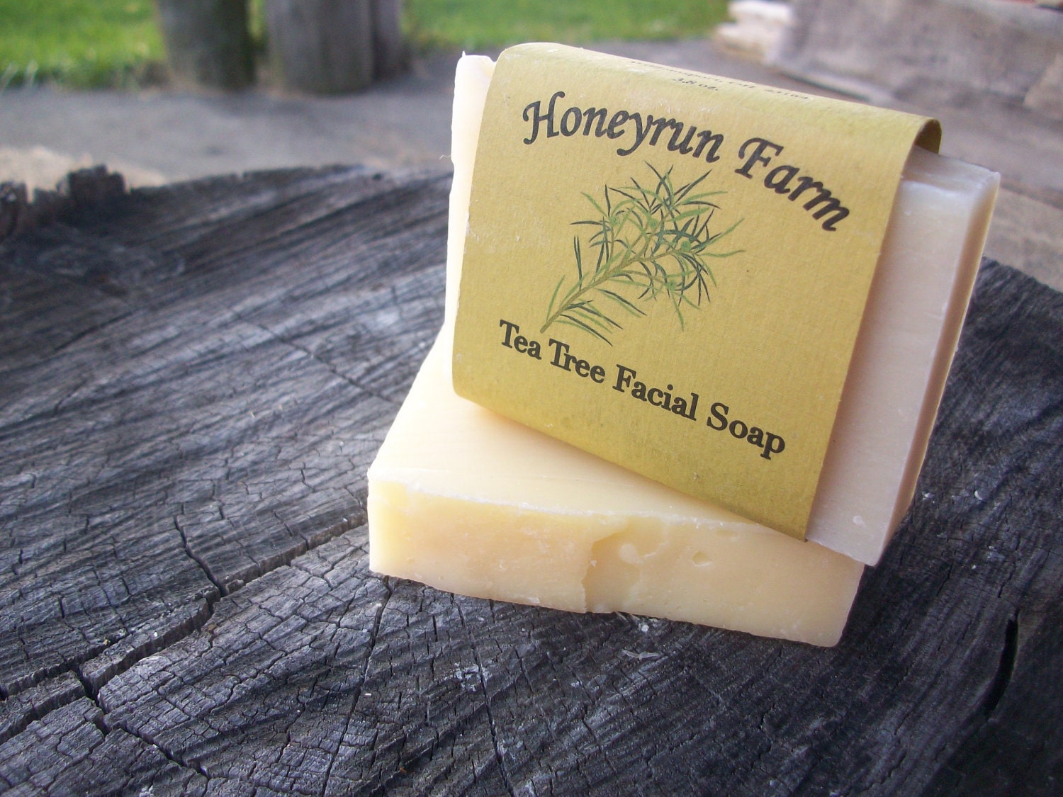 Tea Tree Facial Soap - made with honey and beeswax