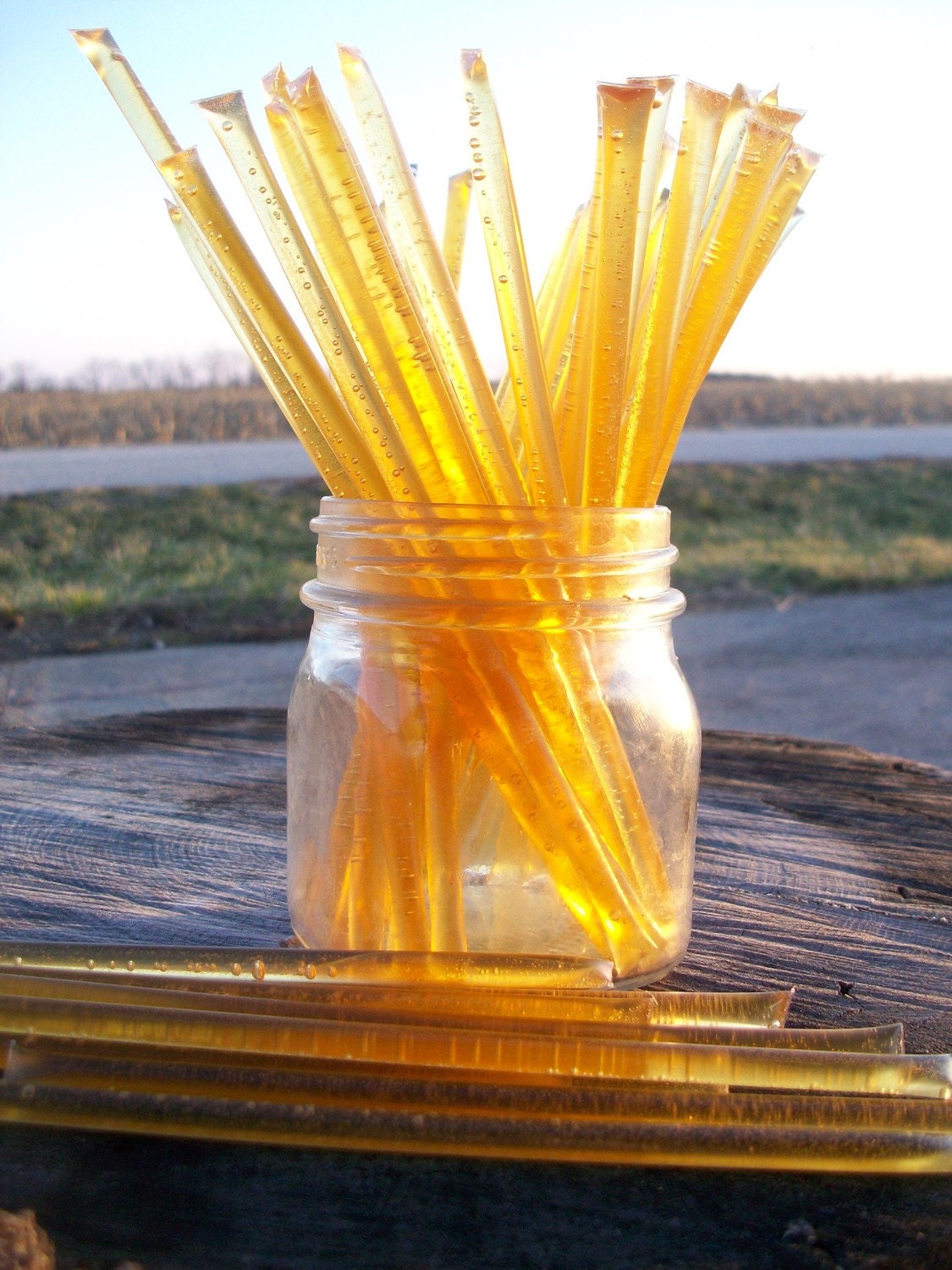 Honey Sticks -Pure Raw Summer Honey - 25 honey filled straws