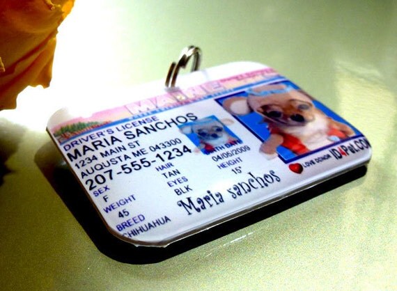 Dog Tags - Florida Driver License Pet ID Tags
