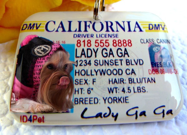 california tags