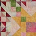 Art Quilt, Wild Mountain Rose