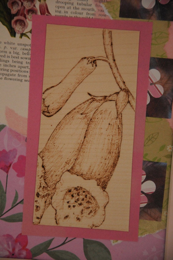 Pyrography engraving Foxglove Botanical art, floral picture, mixed media collage, vintage nature book papers, stamping and drawing