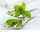Peppermint Handmade Soap