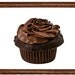 13 Week Pregnancy Announcement: Cupcake