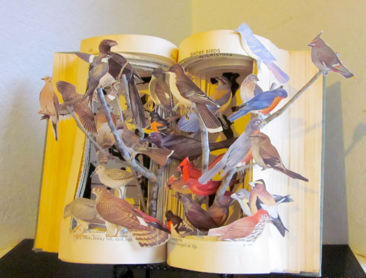Altered Book Autopsy "Birds of A Feather"