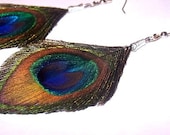 Feather earrings Long Glowing Brilliant Bright Trimmed Peacock Eye feather earrings
