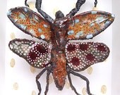 Shadow Box 'Insect'