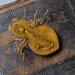 Vintage metal brooch, shape of bug