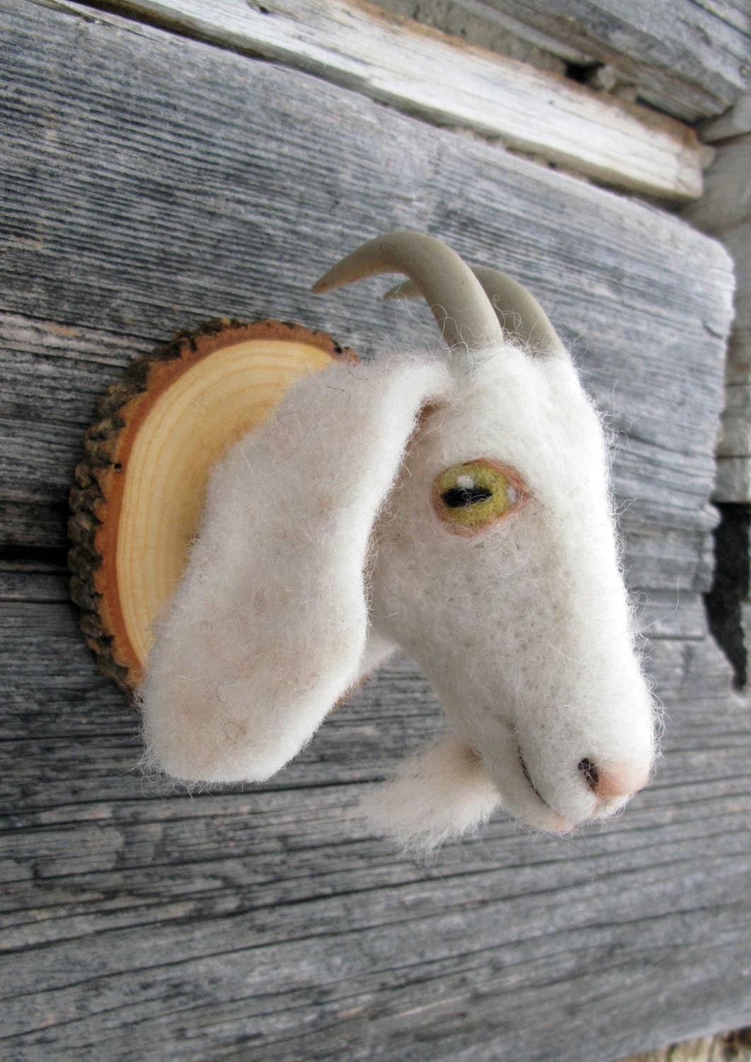 Miniature goat torso