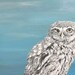 Little Owl on Tap - Eric Kempson
