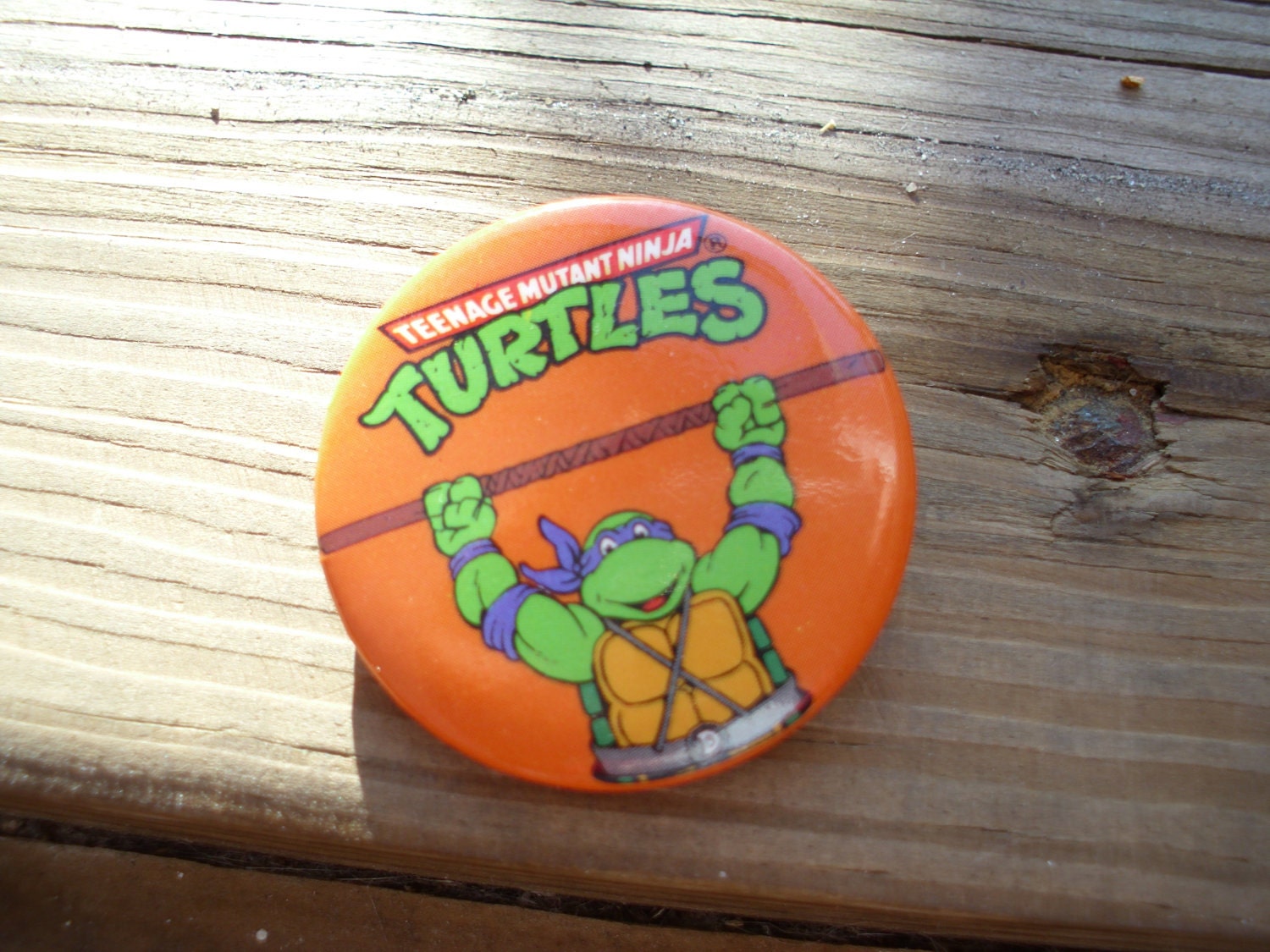 button turtles