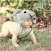 FREE SHIPPING Edgar Elephant Earflap Hat - Sizes Newborn, 3-6 mo, 6-12 mo, 1-2yrs, 3-10yrs