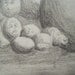 11x14 Original Funny Fruit drawing