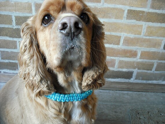 Large Dog Collar, beaded, unique, big dog bling, novelty collar