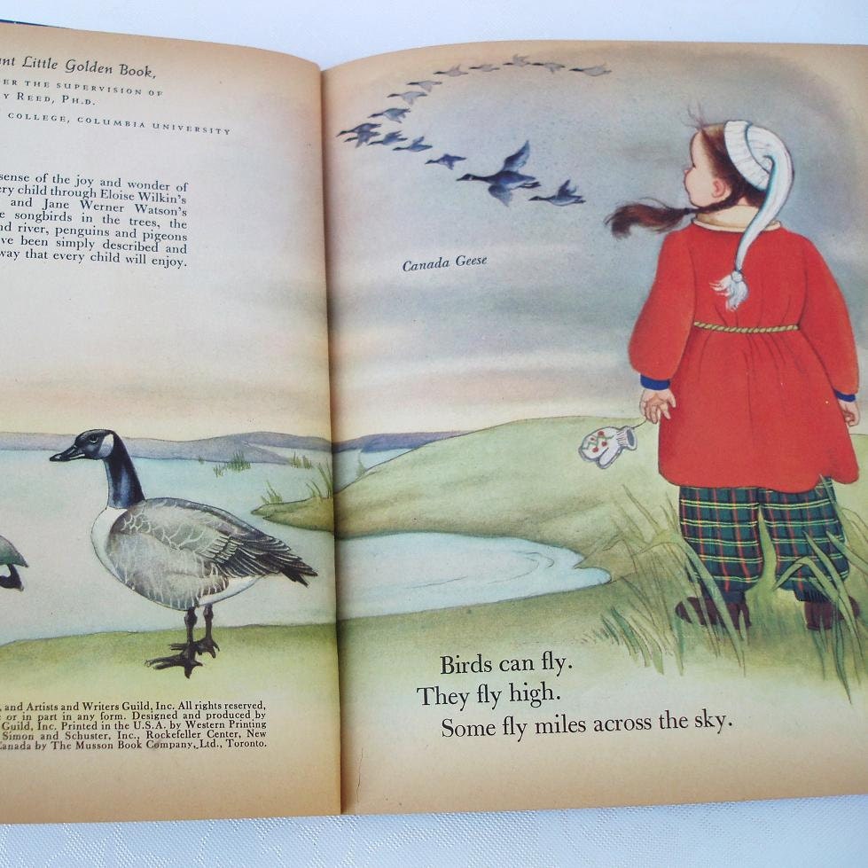 Little Golden Books Kids Reading Books Bird Book for Kids 1958 Childrens Book Reading for Kids