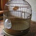 Vintage Round Brass Hendryx Birdcage with clear glass feeders