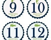 Monthly Onesie Sticker - Seersucker Custom Embellishment