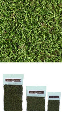 Natural Sheet Moss, Not Preserved