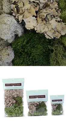 Big old Bag of Mixed Lichens, Reindeer Moss, Mood Moss and all sorts of stuff
