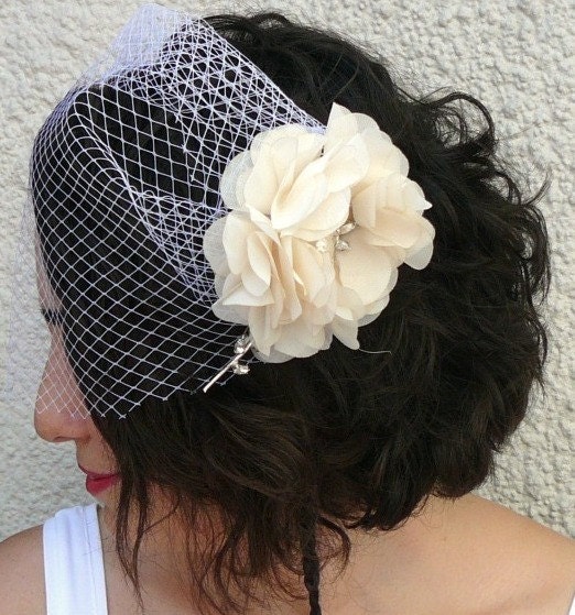 Twinkling Ivory Birdcage Veil