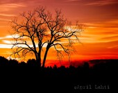 Fire in the Sky 8X10 Fine Art Photograph