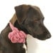 The Blossom Collar - Dogs or Cats - Wool Blend - Blossom Pink - Valentine's Day