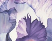 Watercolor Painting Purple Iris 8x10 Giclee Print Abstract Modern Watercolor georgia O'keefe Inspired by Peggy Martinez