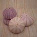 4pc 2" Purple Sea Urchins