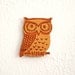 Owl Brooch / Necklace