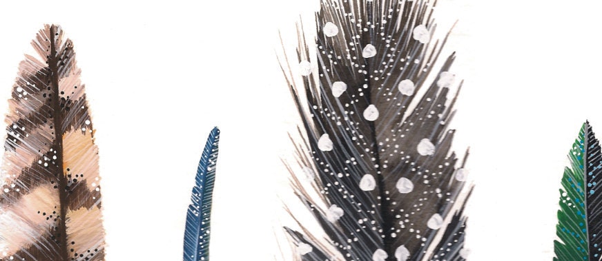 Feathers 2 - 11x17 Print