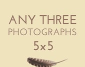 Set of any THREE 5x5 photographs by Kanelstrand