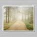 Foggy Norwegian Woods Original Nature Photography Print Digital Wall Art Home Decor 8x10