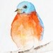 Little Orange and Blue Bird - Original Watercolor Painting