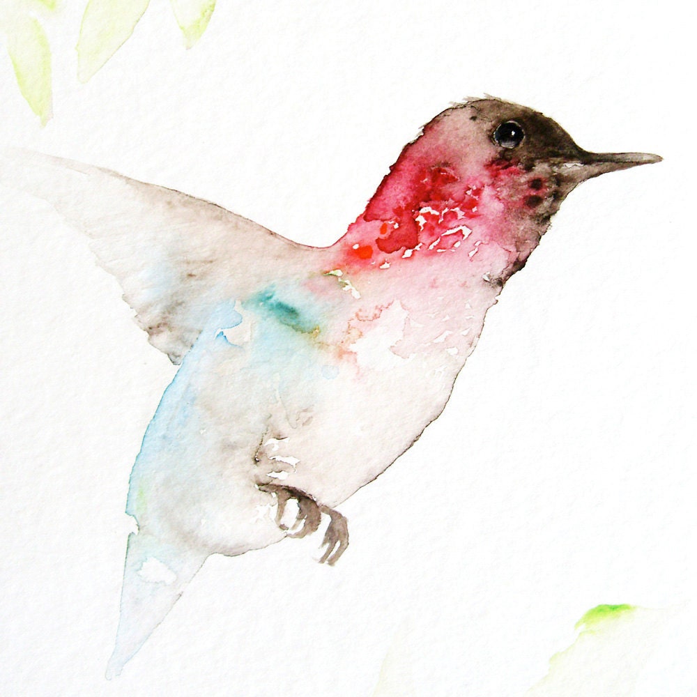 Hummingbird - Fine Art Print from Original Watercolor