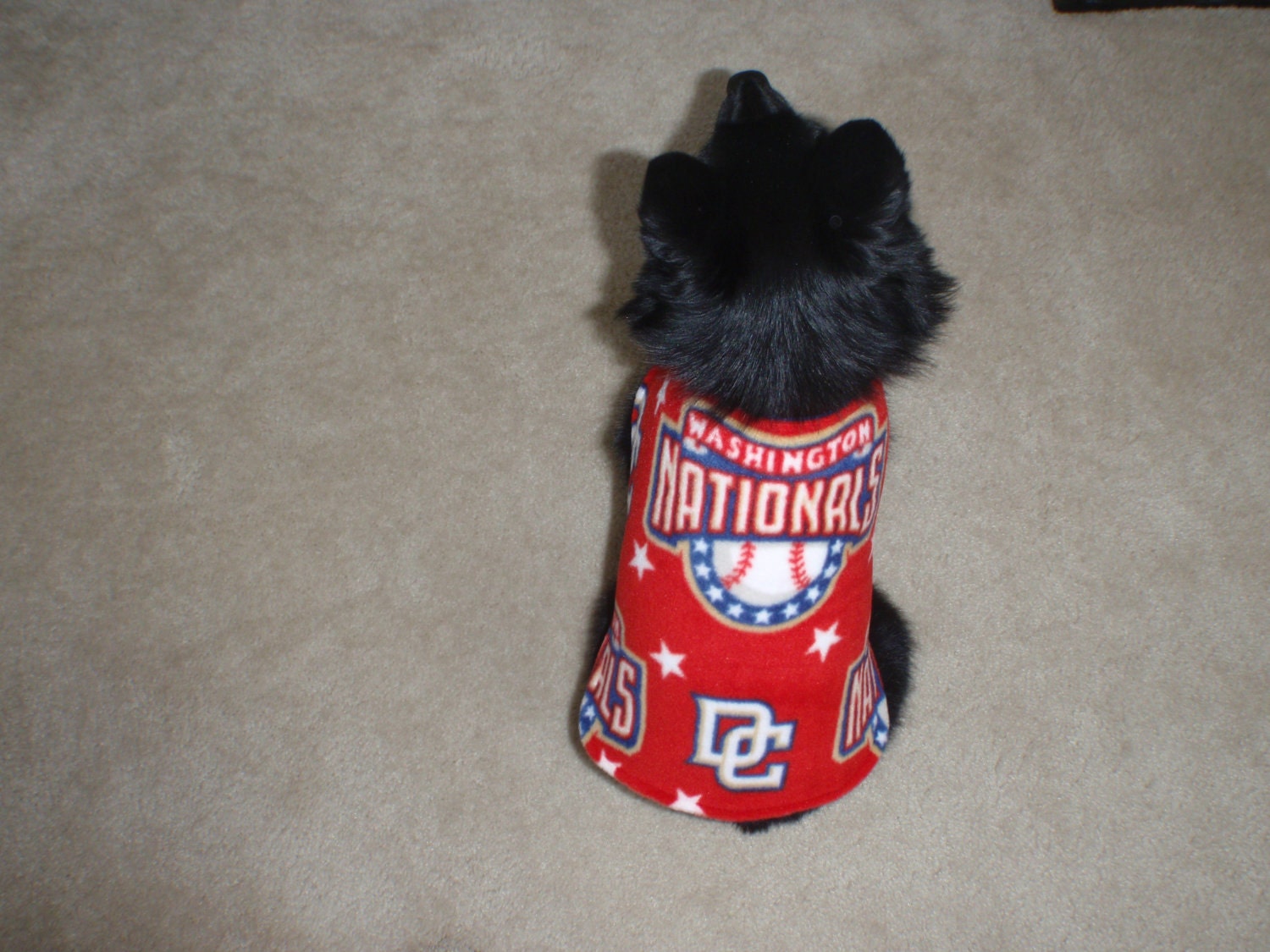 Washington Nationals Dog Coat