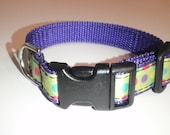 Candy Dot Dog Collar