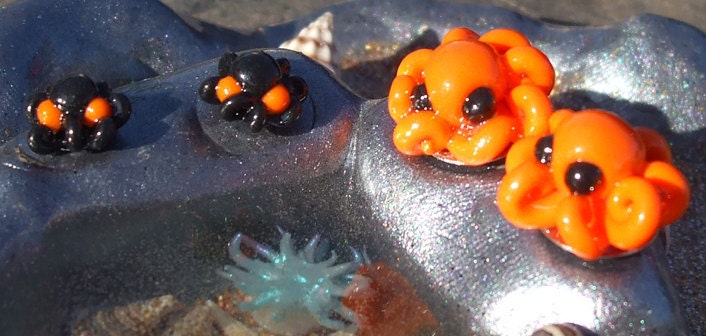 CLEARANCE: 50% OFF Baby Octopus Halloween Set II