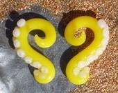 ON SALE 50% Off: Tentacle Gauge Earrings Size 2