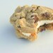Chocolatie Chip Buttercreme Cookie-Wiches-1/2 Dozen