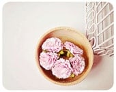 Carnation paper flower  / pack