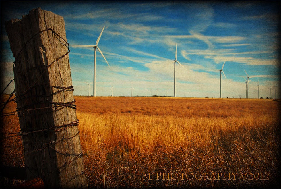 Fine Art Photography Print-Western Art-Rustc Home Decor-Southwestern Art-Texas