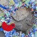 Ribbon Wreath. 14in. Summer Wreath. Spring Wreath. Red Bird Wreath. Felt Bird. (W73) READY to ship.