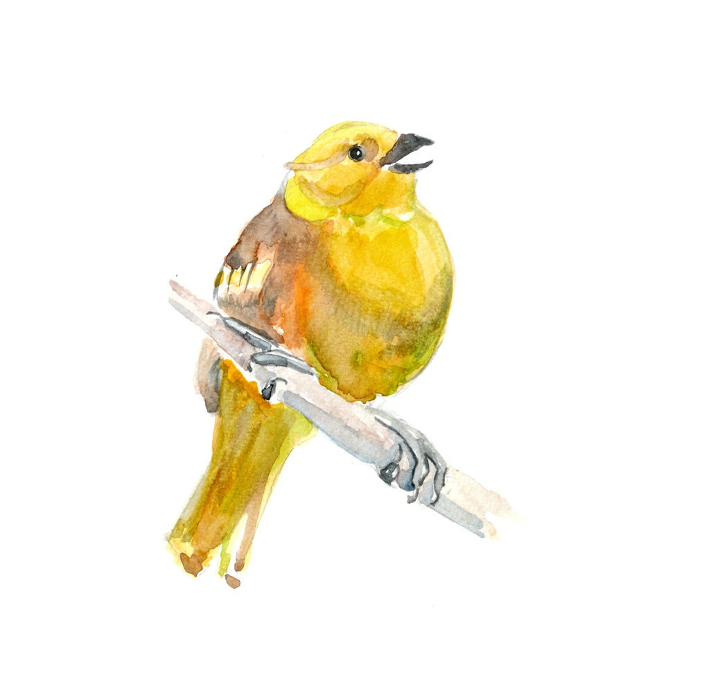 Yellow bird Original Watercolor Painting artwork 13x19 bird on branch illustration wall home decor fine art animal - fairysomnia