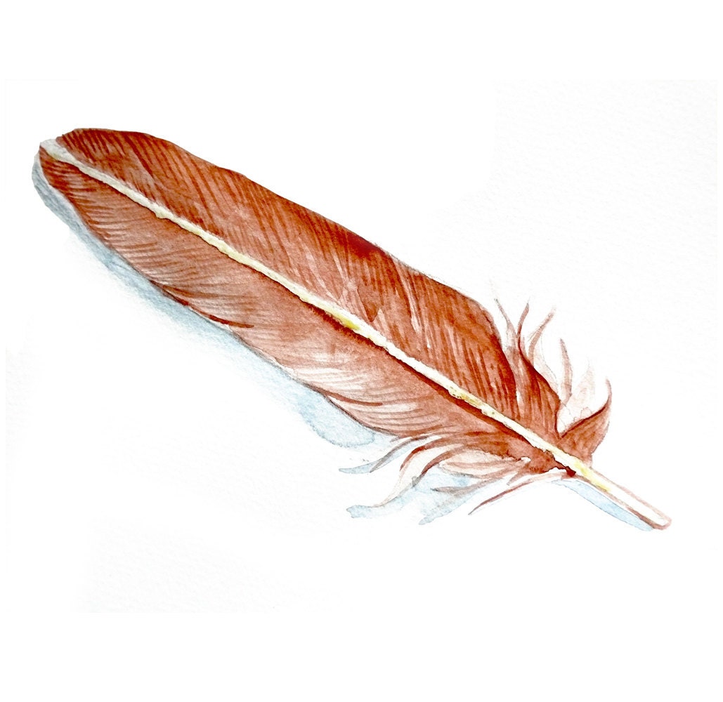 Realistic Original Watercolor Painting bird feather artwork wall home decor fine art  drawing nature illustration 5x7