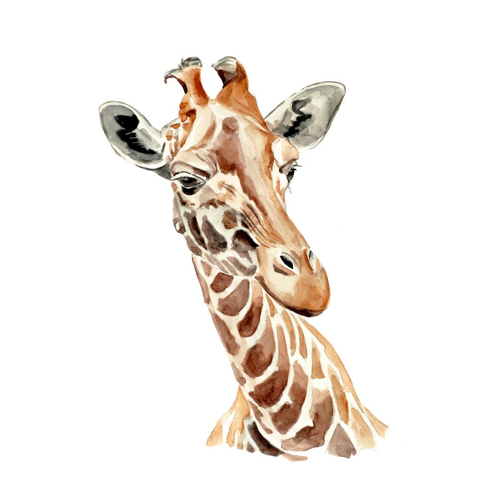 Giraffe Original Watercolor Painting 13x19 animal illustration - realistic watercolor painting