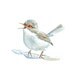 Original Watercolor Painting artwork 12x16 bird on branch illustration wall home decor fine art animal