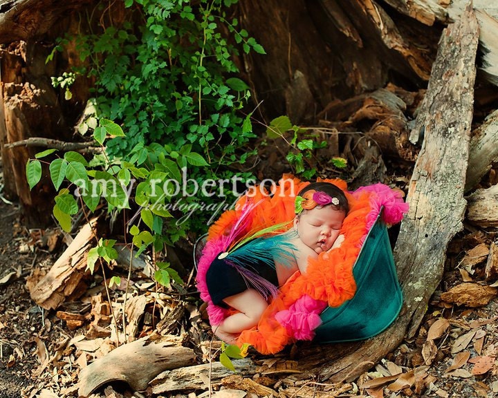 ARCO IRIS PeACOCK Feather Fascinator - Hand Dyed and Cut Peacock Feather Eyes Create a Rainbow - All Sizes - M2M Bloomers
