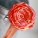 Lolly - Hot Pink and Orange Floral Headband